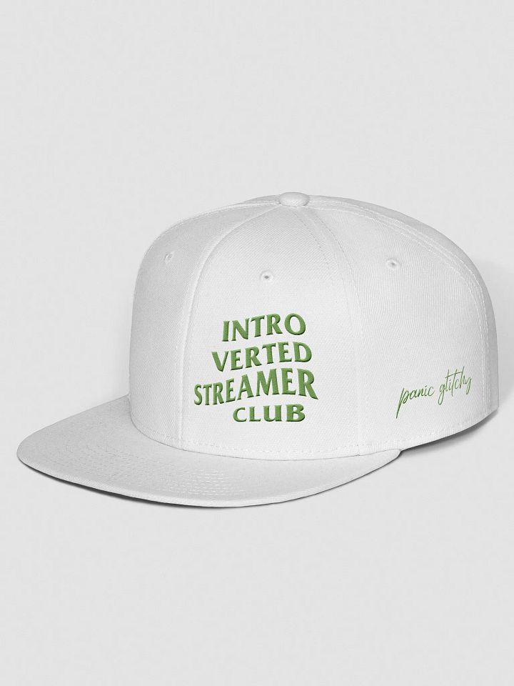 Introverted Streamer Club "Team Green" Snapback product image (2)