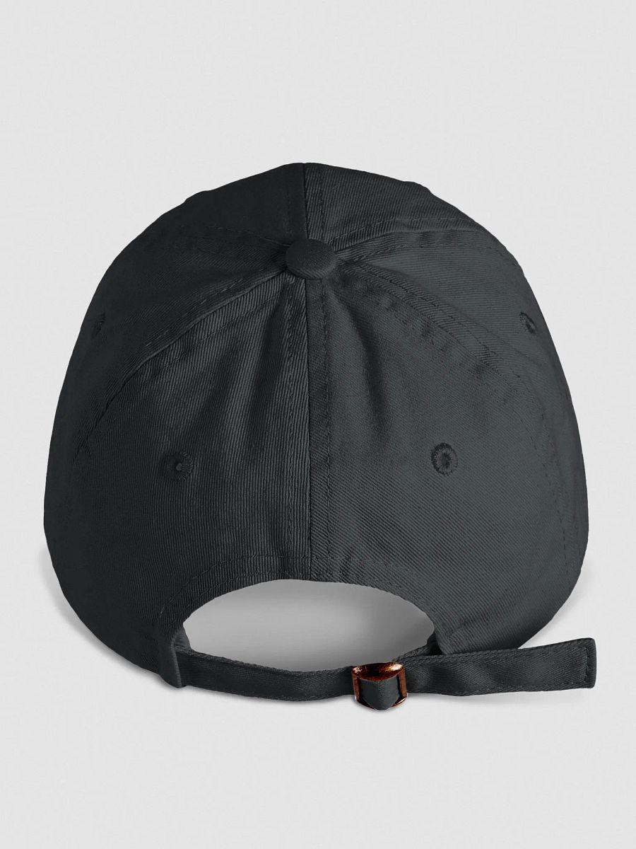 'Los Angeles' Biowashed Youth Dad Hat product image (2)