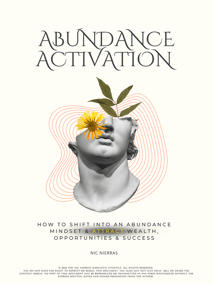 The Abundance Activation Guide – The Ultimate Wealth Mindset Shift product image (1)