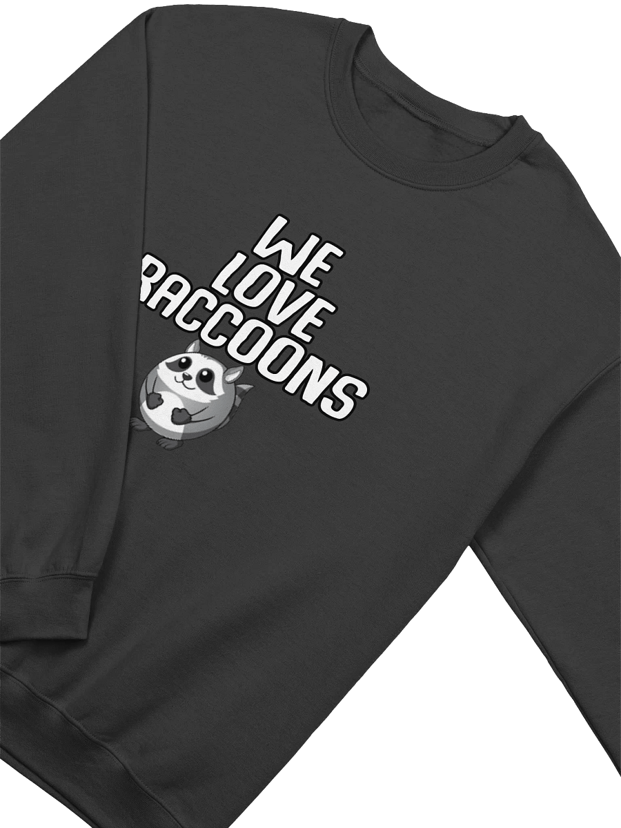 Raccoon Sweater product image (32)