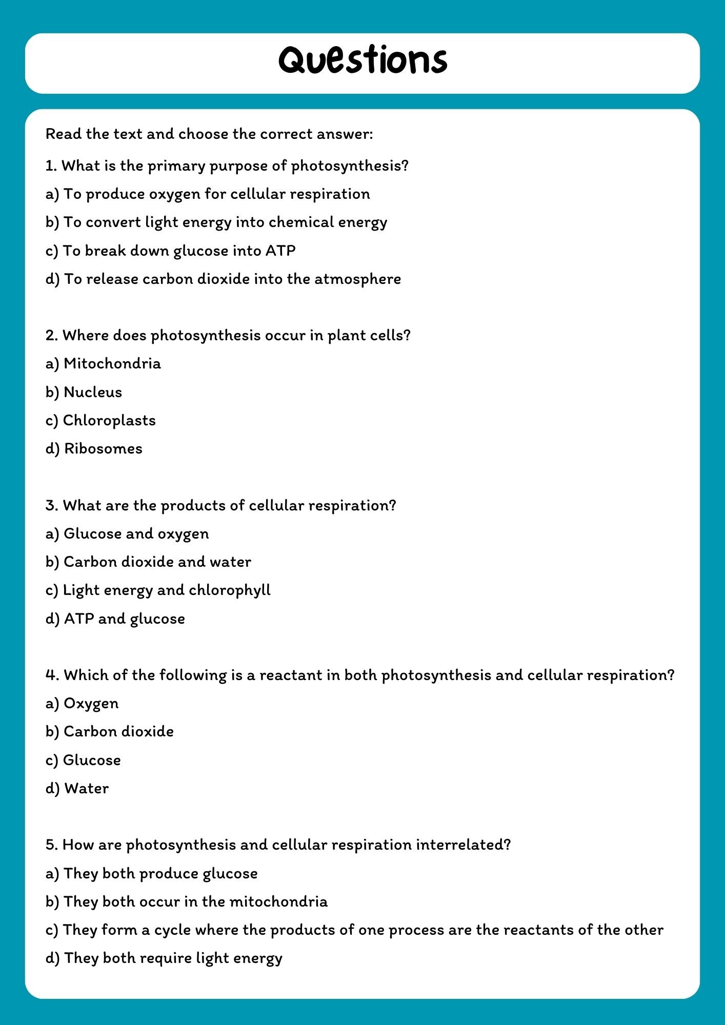 Photosynthesis and Cellular Respiration Reading Comprehension Passage with Questions product image (2)