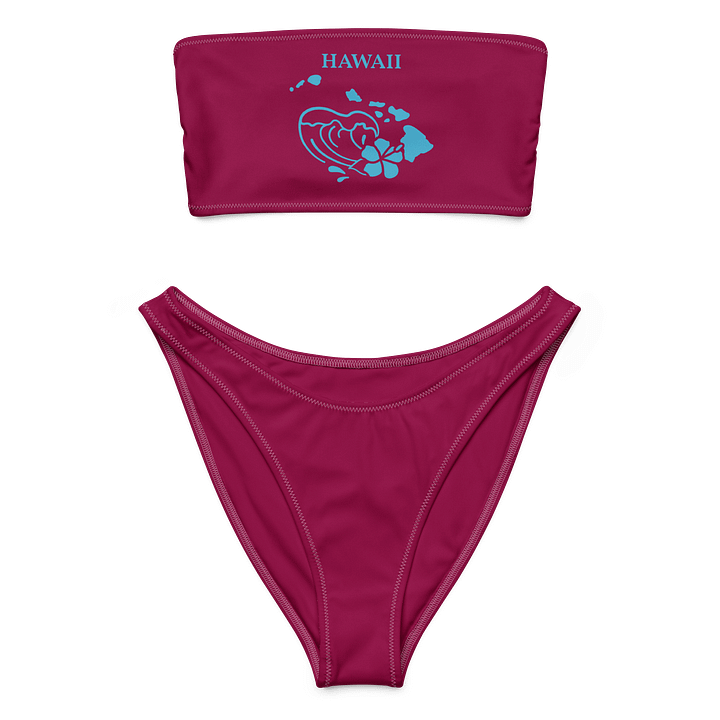 Wave of Aloha Bandeau Bikini Set product image (1)