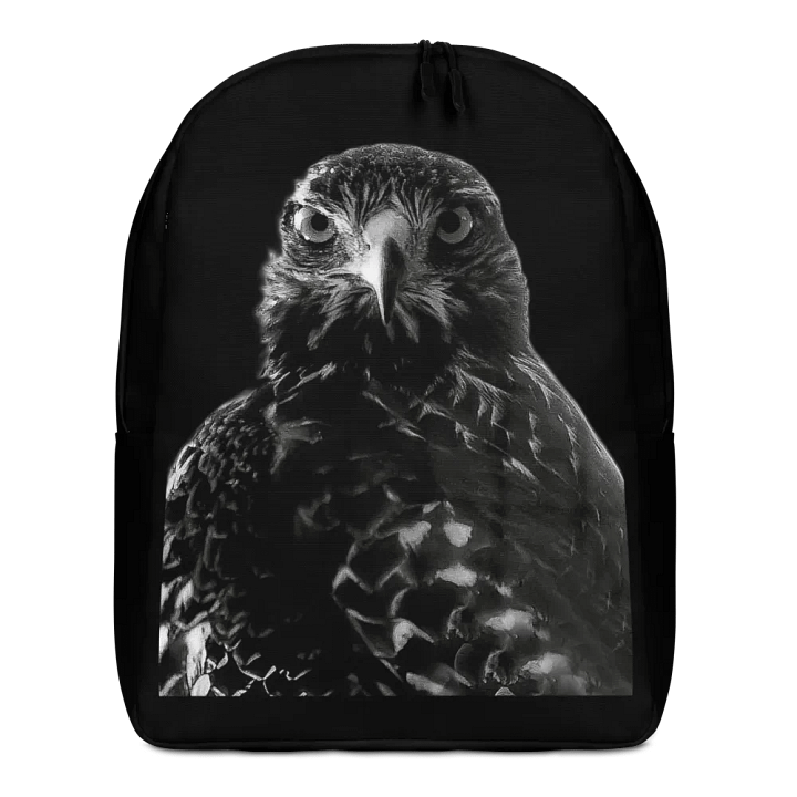 Red-Tailed Hawk II Backpack product image (1)
