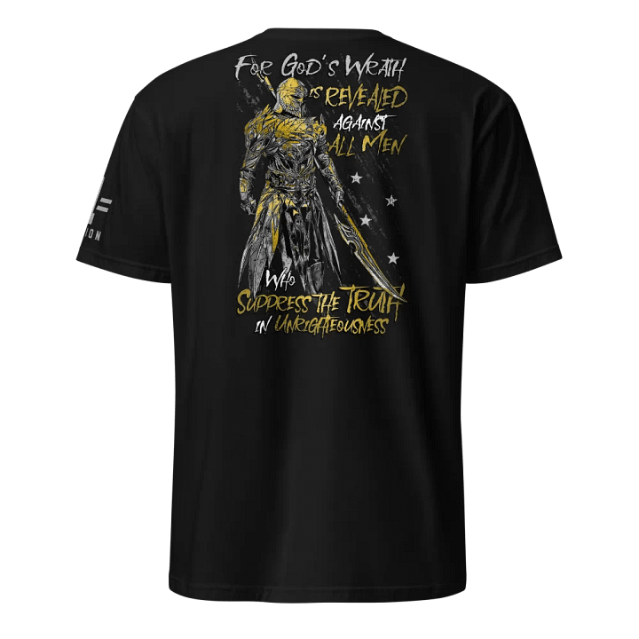 Paladin product image (1)