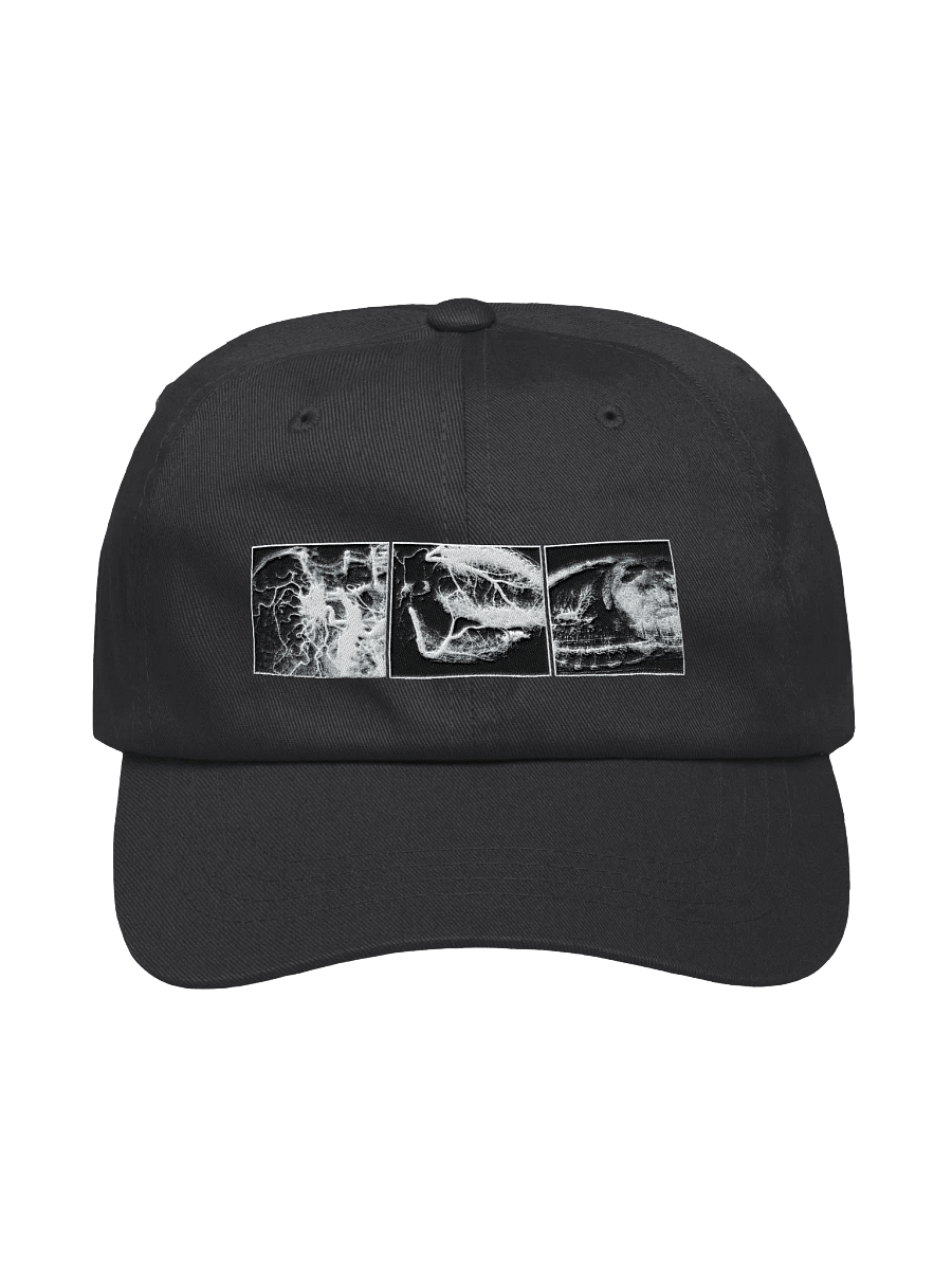 Embroidered Hat - XRAY product image (1)