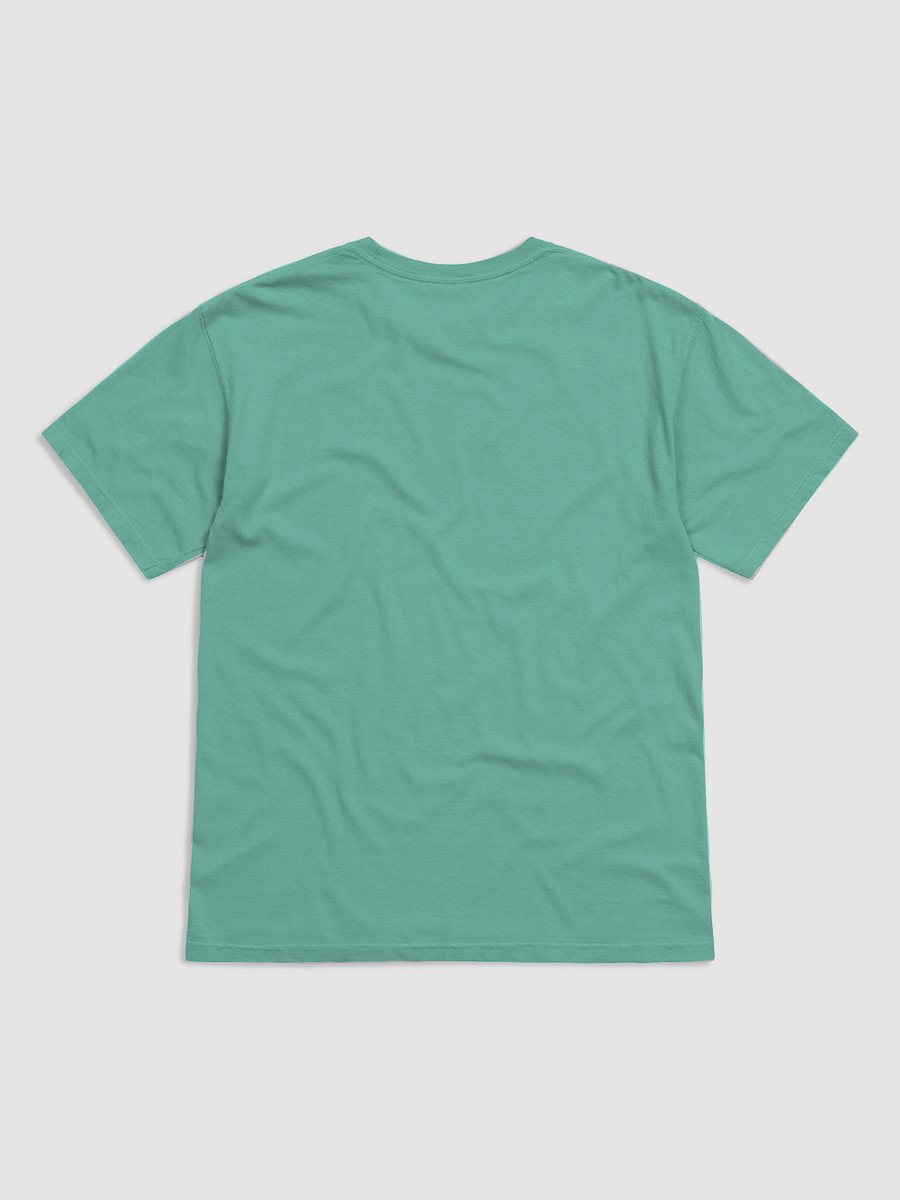 In Omnia Pararus Silhouette Tee product image (6)