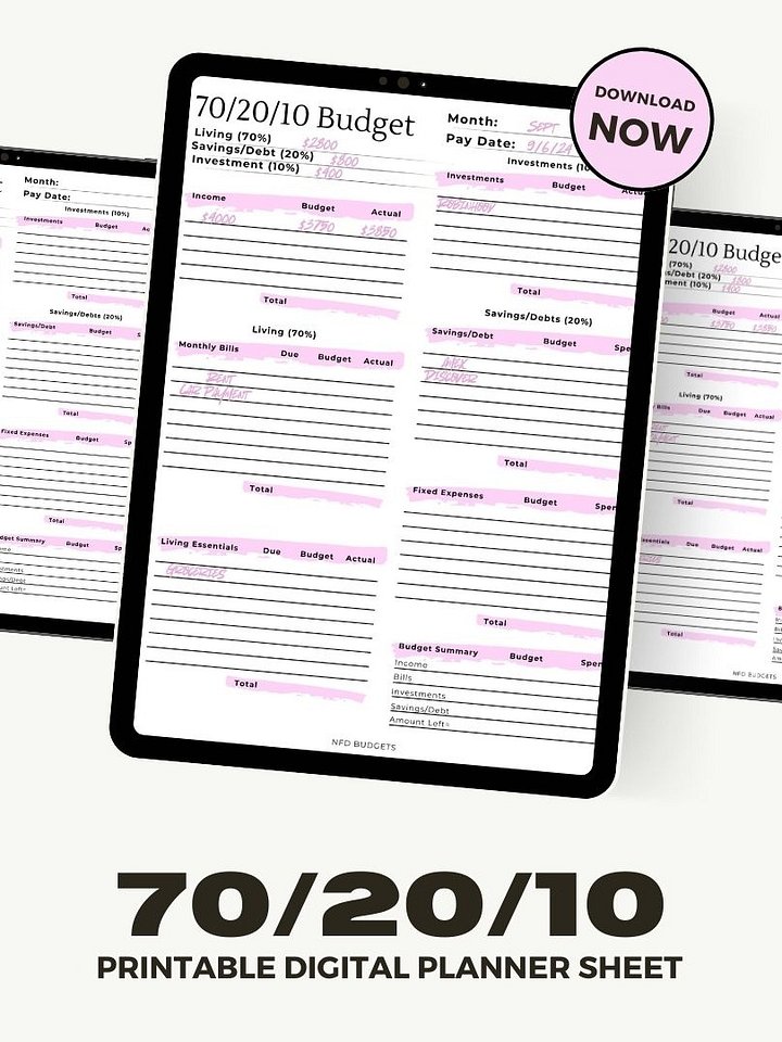 Printable Digital 70/20/10 Budget Planner | Budget Planner | 1 Page | Printable | Paycheck Planner | PDF File product image (1)
