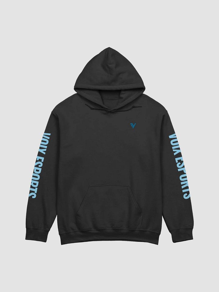Voix eSports Outlined Hoodie product image (1)