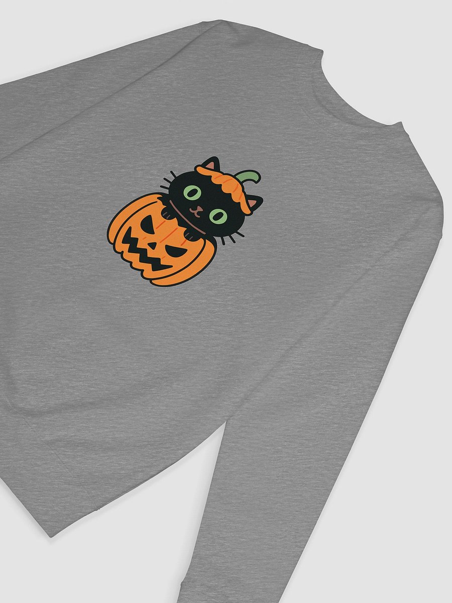 Whiskers & Lanterns Halloween Sweatshirt product image (24)