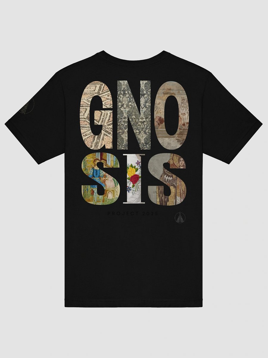 Gnosis Project 2025 product image (6)