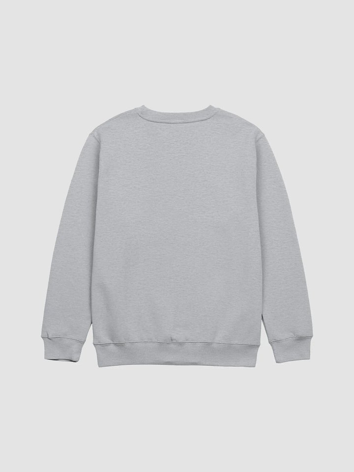 WHAT ARE YOUR PRONOUNS AND SEXUALITY!? - light sweatshirt product image (2)