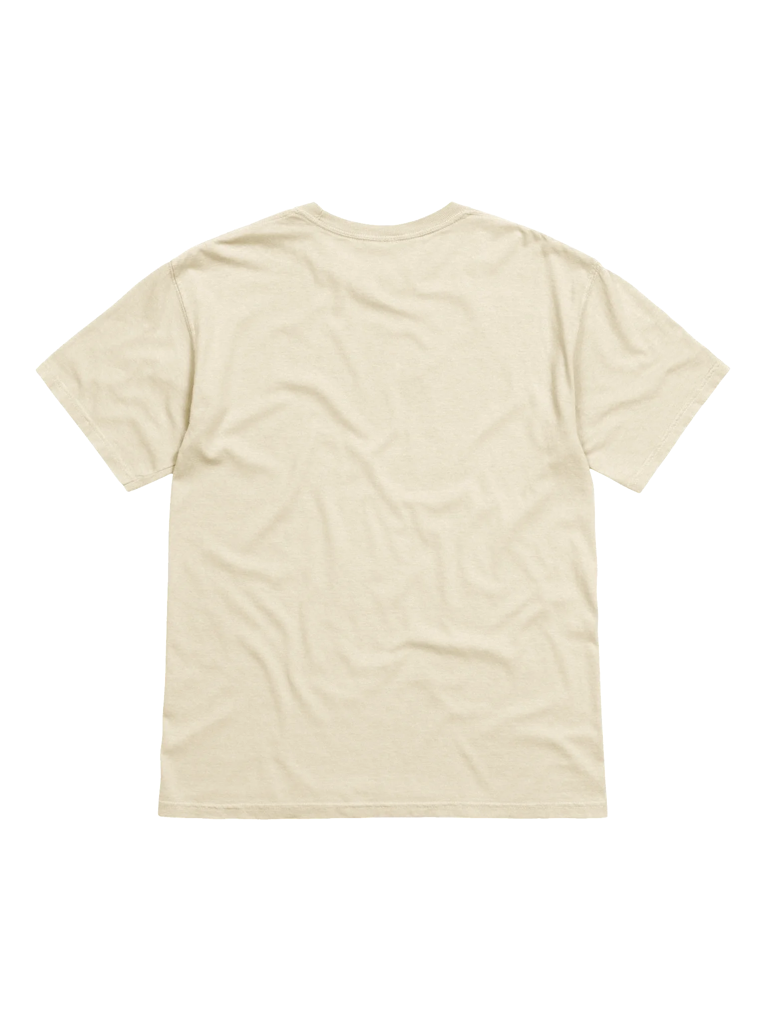 it's giving Embroidered Tee - Light Colors product image (4)