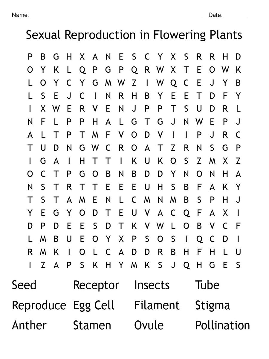 Flowering Plants Sexual Reproduction Word Search – Printable Biology Puzzle product image (1)