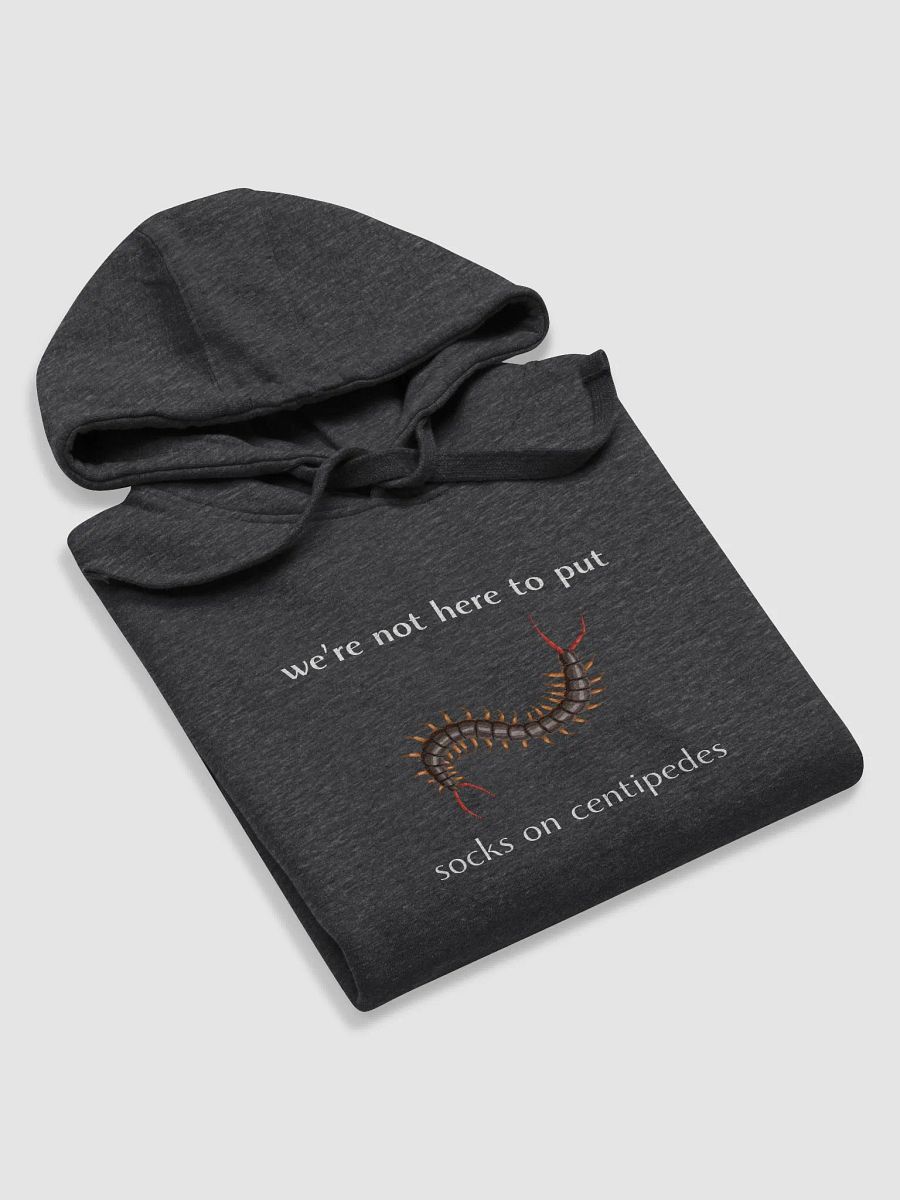 Socks on Centipedes Unisex Hoodie product image (3)