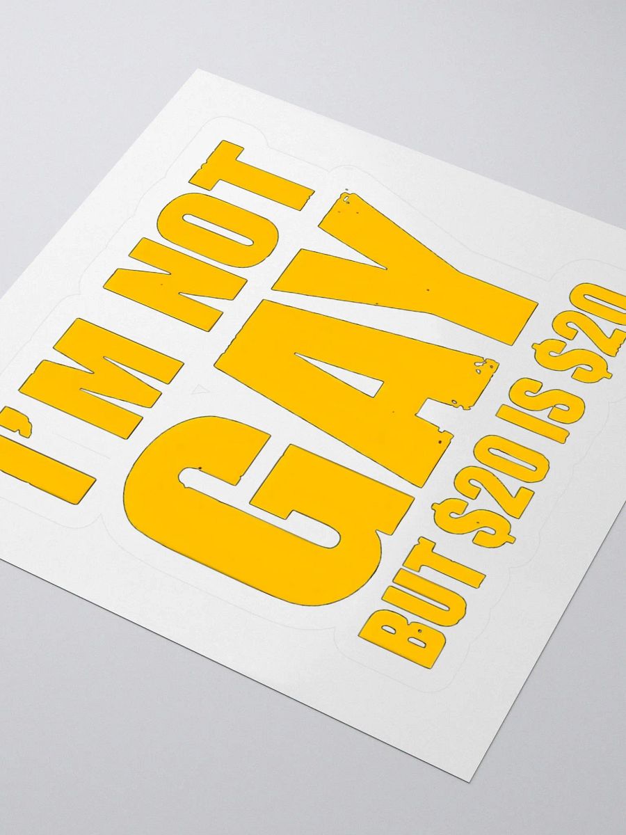 I'm Not Gay But $20 Is $20 Sticker product image (3)