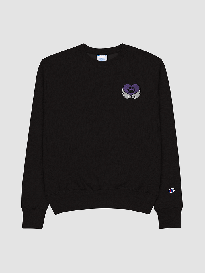 Premium Champion Brand Sweatshirt product image (1)