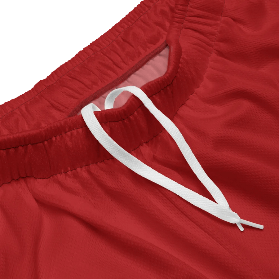 RGCV Shorts product image (3)