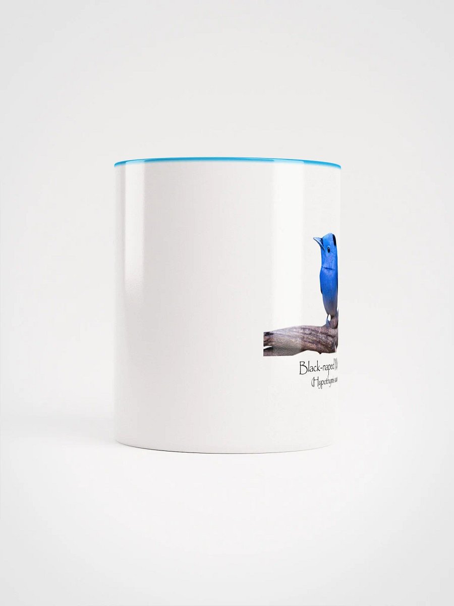 Black-naped Monarch. mug product image (5)