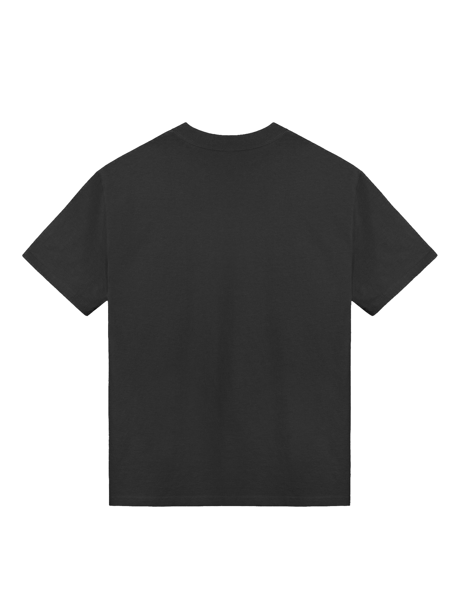 T-Shirt Oversized Embroidered product image (2)