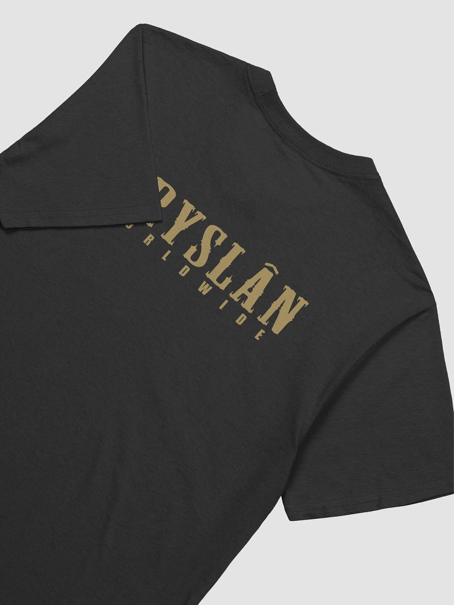 Fryslân Worldwide Horse - Shirt product image (4)