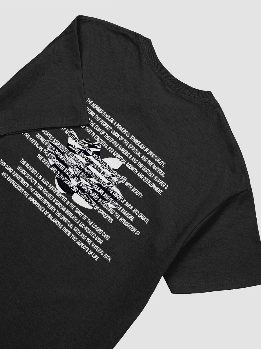VIBEFEST VOL VI TEE (BLACK) product image (4)