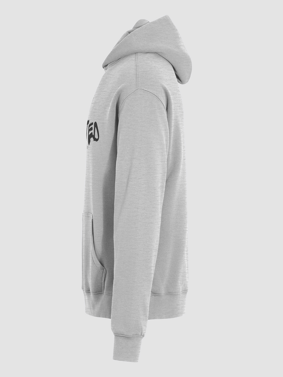 anointed hoodie 🩶 product image (6)