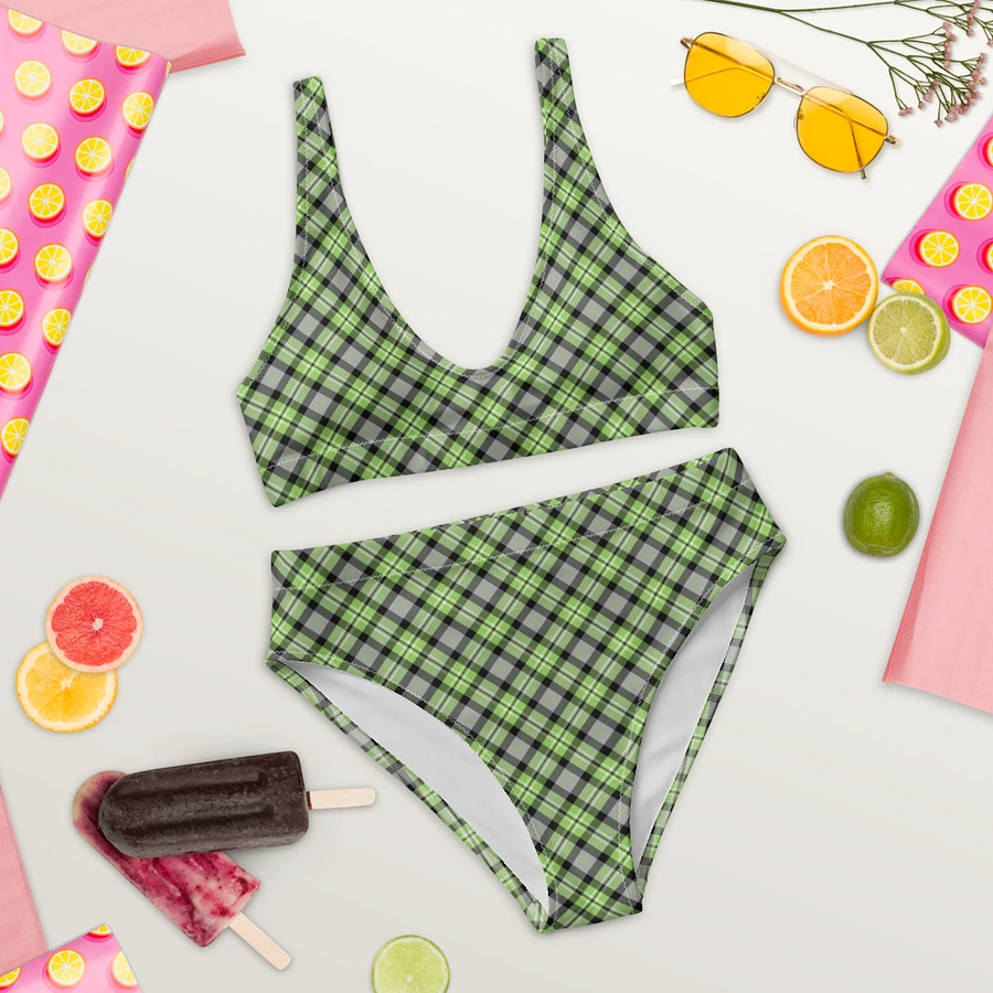 Light Green and Gray Plaid Bikini product image (9)