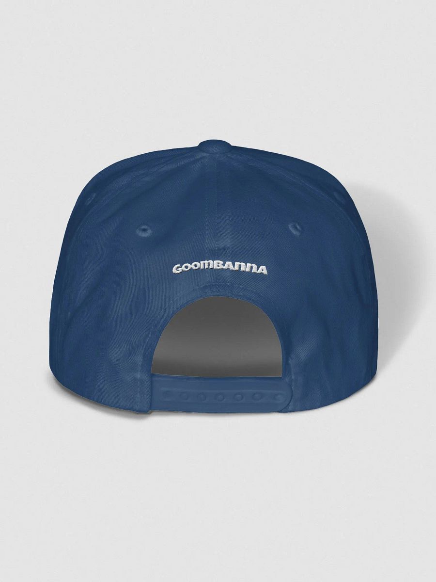 "Audience" flat snapback hat product image (3)
