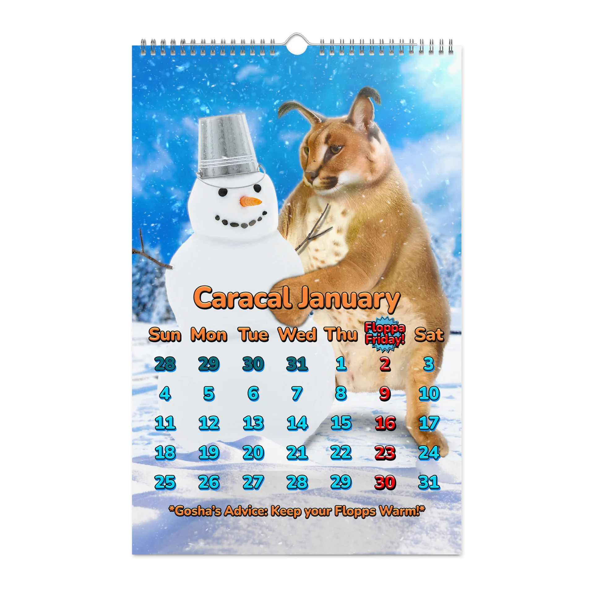 BIG CARACALENDAR 2026 (Limited Edition) product image (7)