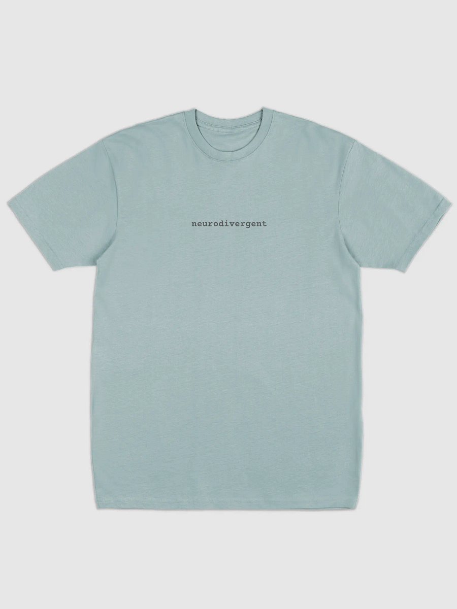 Neurodivergent Premium Heavyweight Tee product image (1)