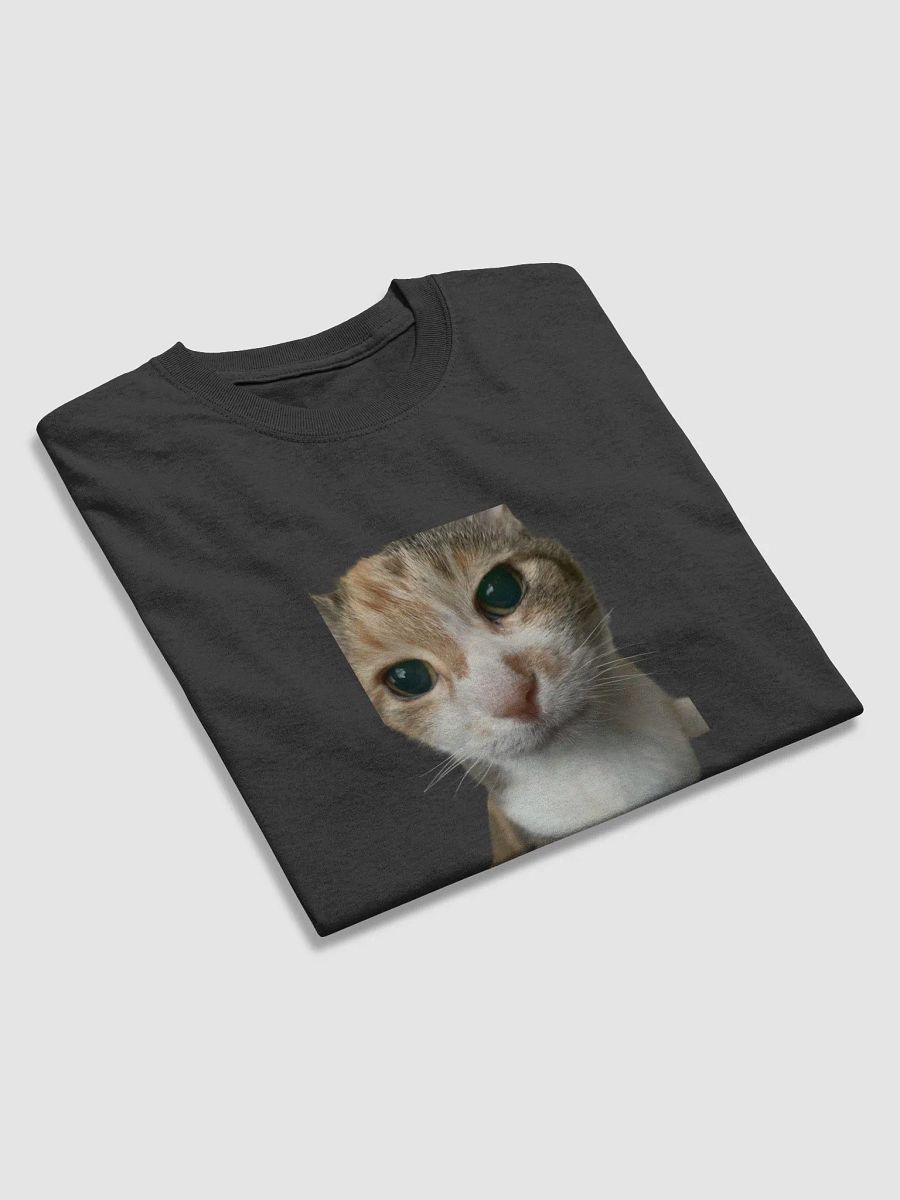 Purrfect Calico Cat Graphic Tee product image (20)