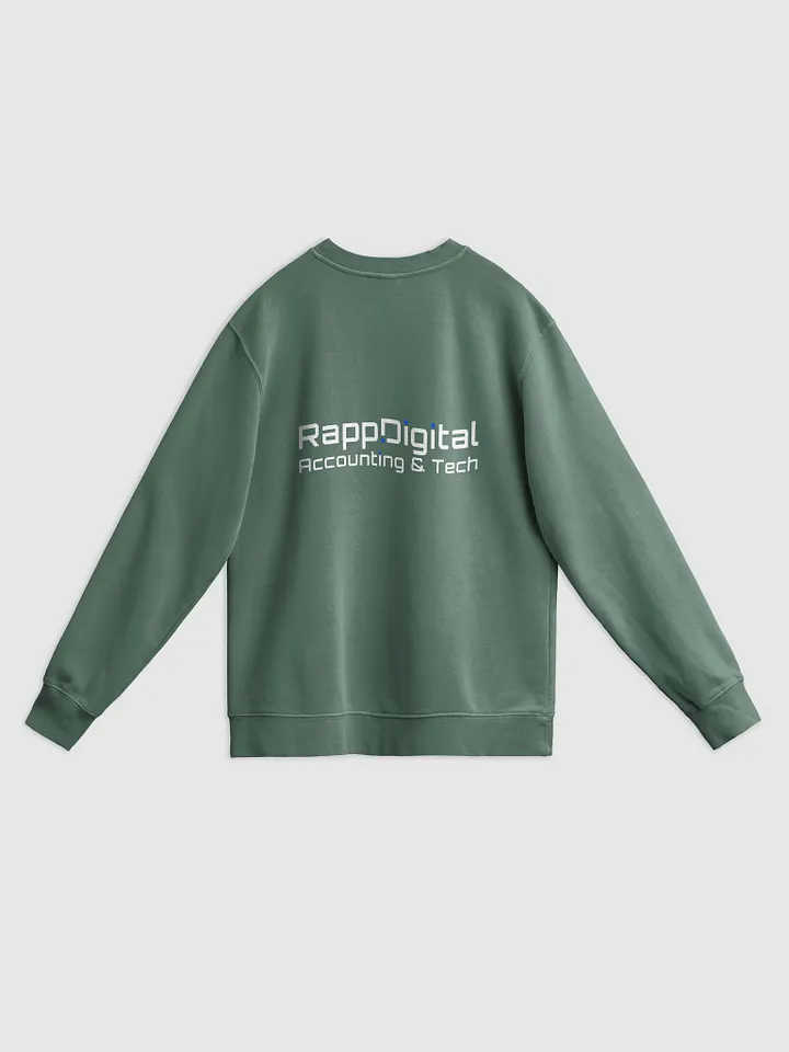 Rapp.Digital Pigment-Dyed Sweatshirt product image (22)