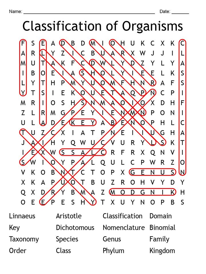 Printable Classification of Organisms Word Search – 16 Key Terms! product image (2)