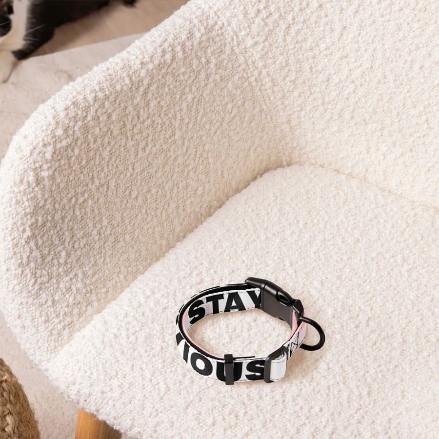 DEVVIOUS Pet Collar product image (3)