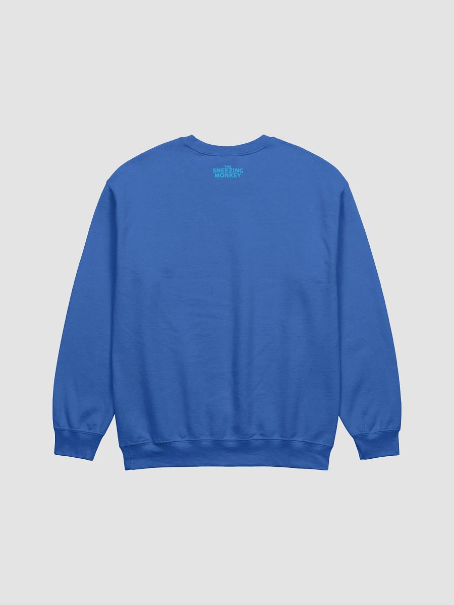 Original TSM 'What is a Sandwich' Jumper product image (11)
