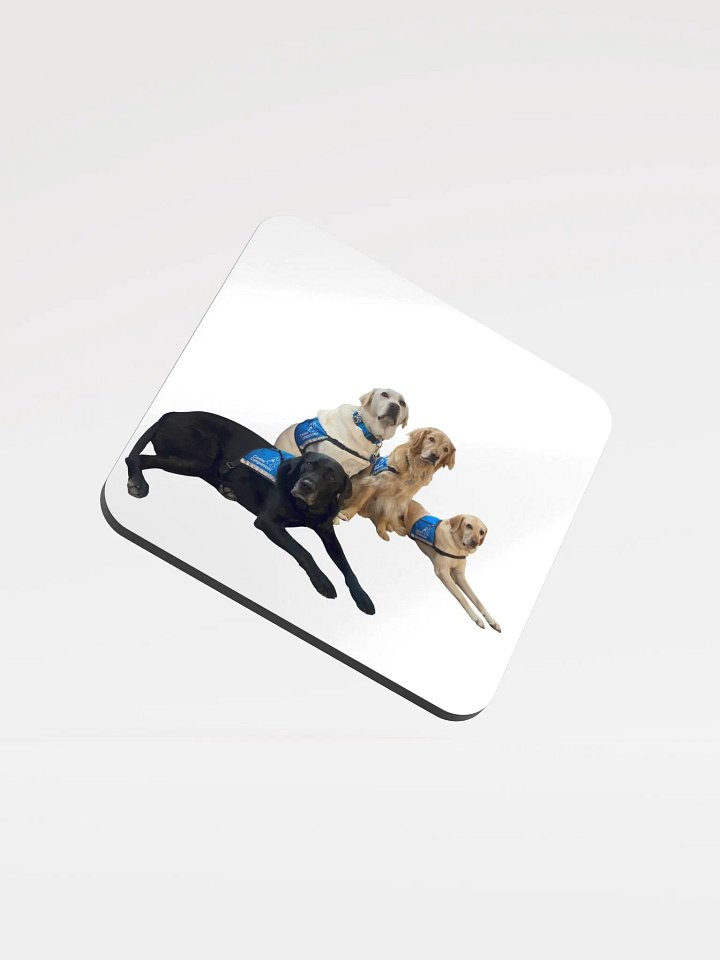 Facility Dogs Coaster product image (1)