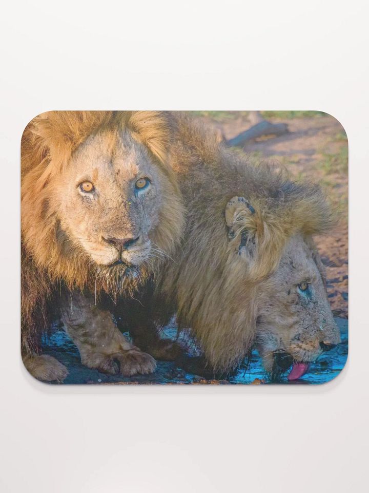 Unique mouse pad with two male lions from Kruger Park product image (2)