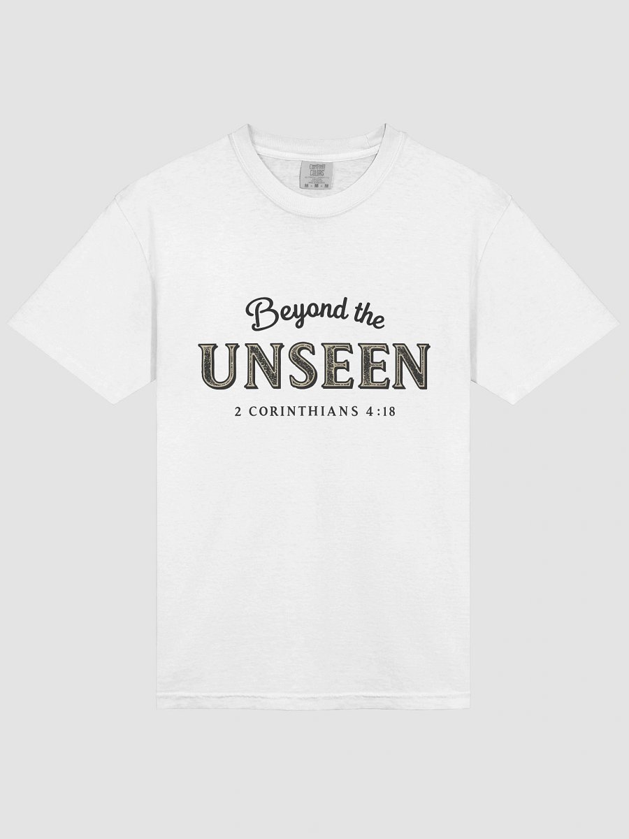 Beyond the Unseen Heavyweight Tee product image (3)