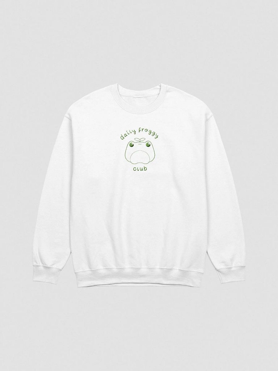 Daily Froggy Club Embroidered Sweater product image (16)