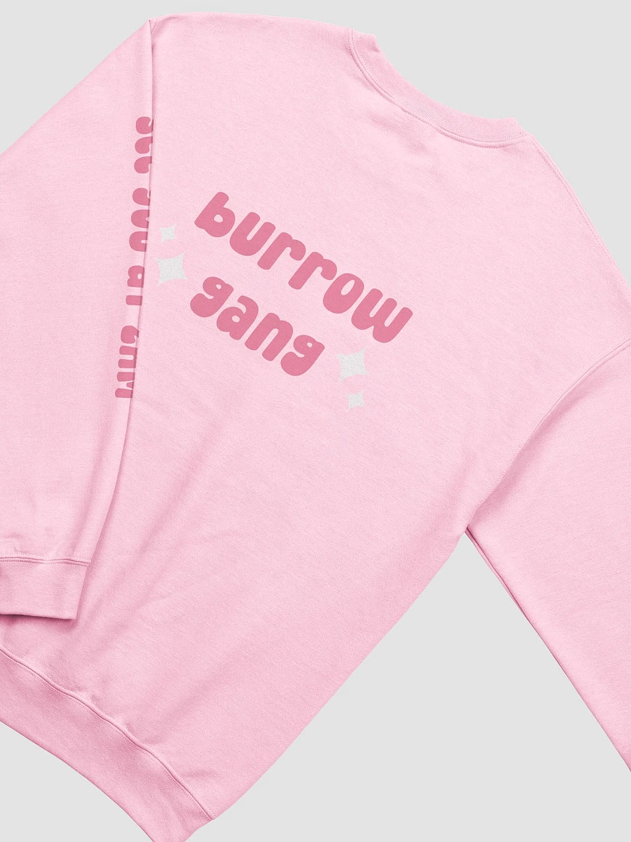 burrow gang ⟡ double-sided crewneck sweatshirt [8 colors] product image (4)