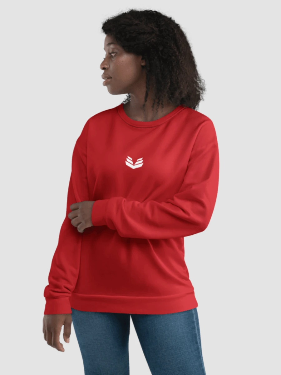 Sweatshirt - Berry Red product image (5)