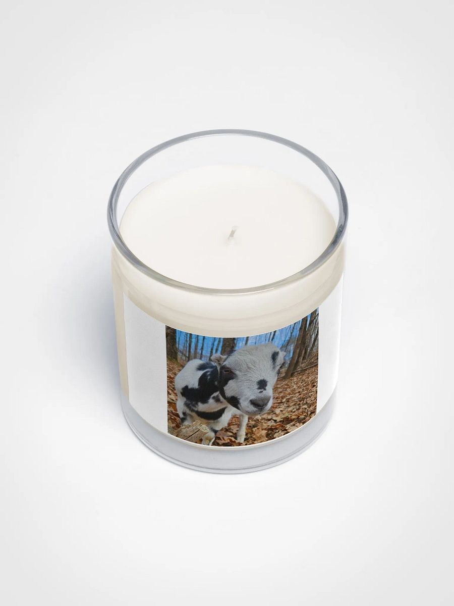 Gadget goat candle product image (3)