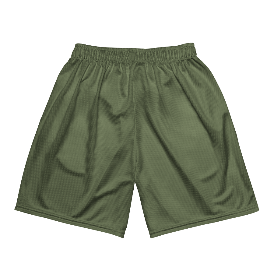 Carolina Hometown Athletic Shorts (Cross Keys) product image (6)