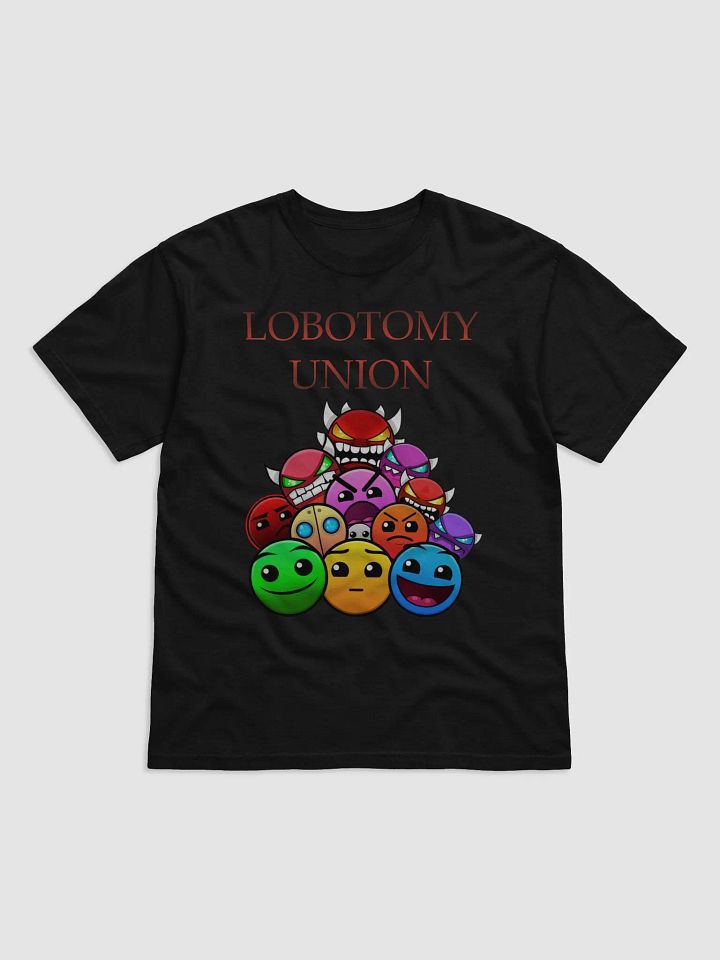LOBOTOMY UNION HEAVYWEIGHT T-SHIRT product image (8)