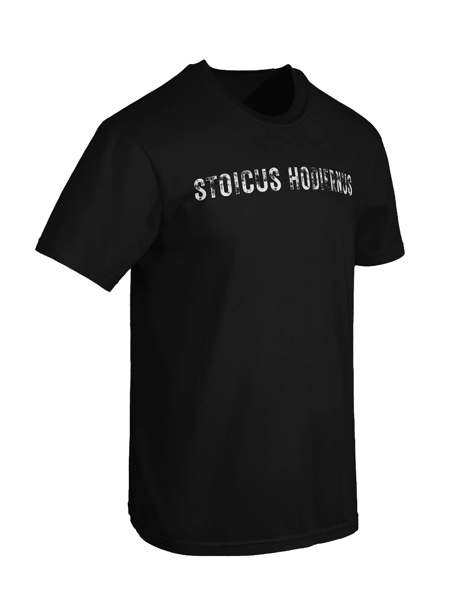 Modern Stoic Tee — “Fata Viam Invenient” Edition product image (25)