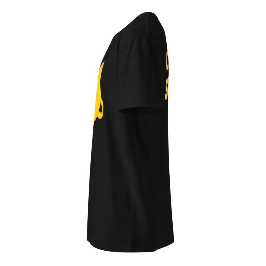 Cripty Sigma Shirt product image (5)