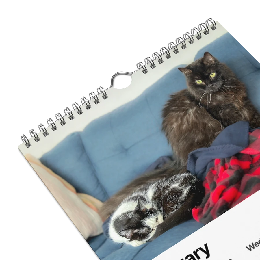 The 2024 ShoKo Cat Calendar product image (9)