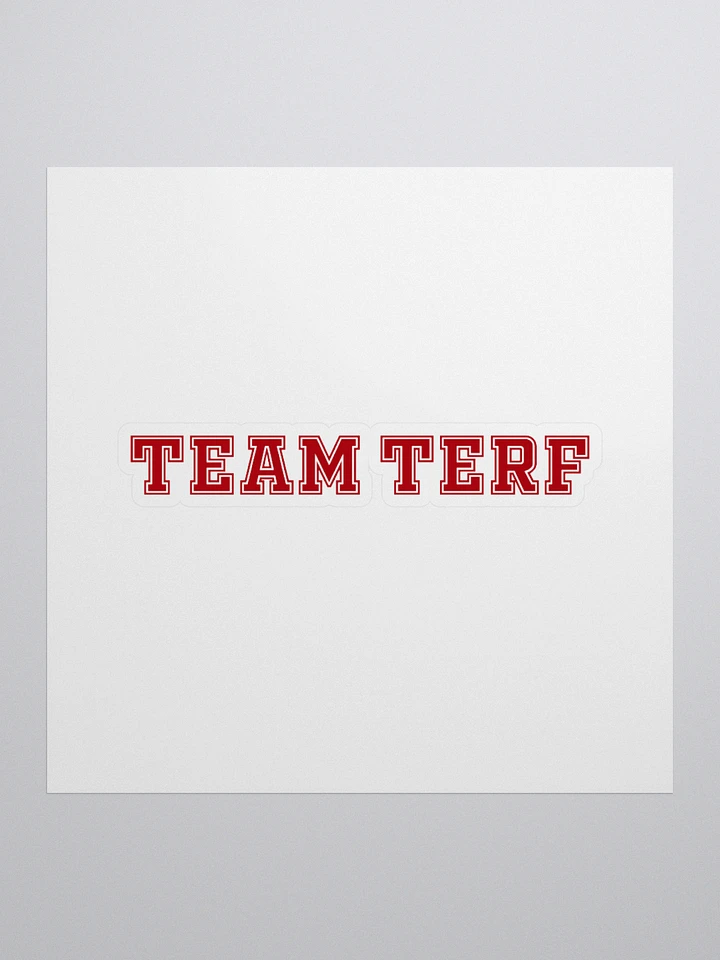 TEAM TERF STICKER product image (3)