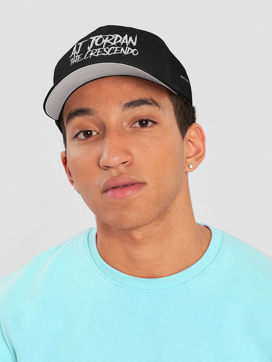AJ Jordan The Crescendo Embroidered Fitted Hat product image (3)