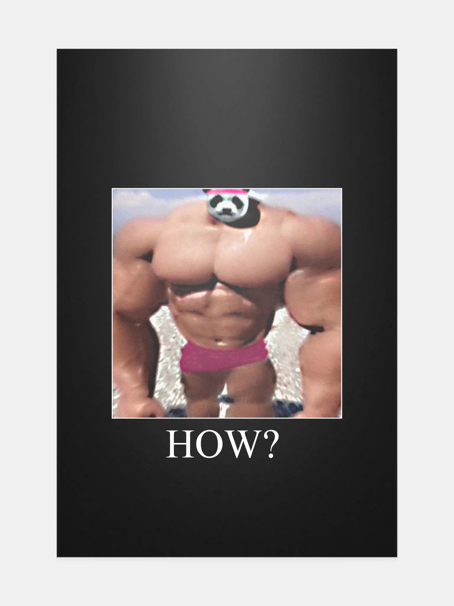 Peak Performance Meme Poster! product image (1)